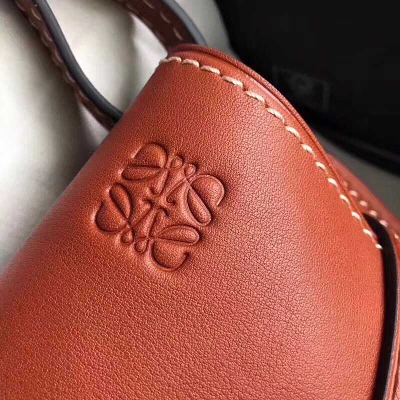 로에베 GATE FRAME SMALL BAG L108012