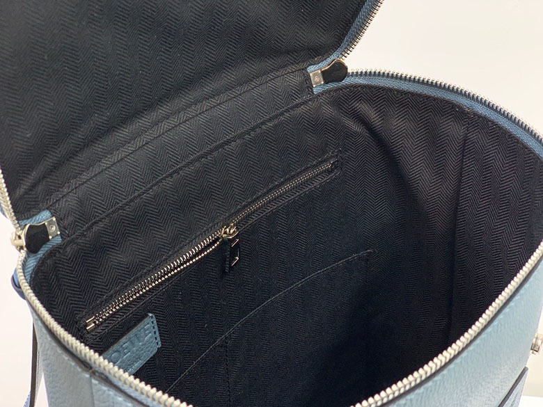 로에베 고야 백팩 스몰 신상 L41582