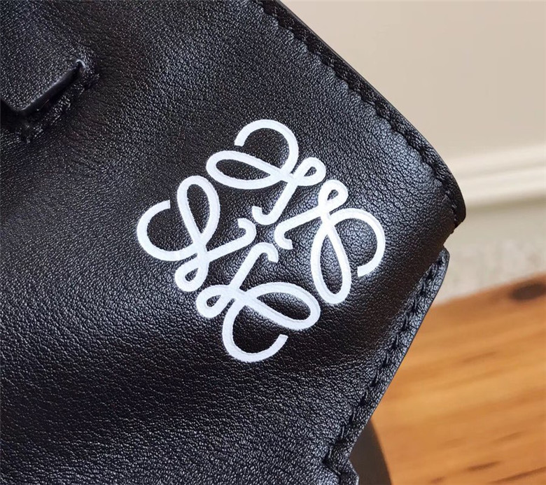 로에베 crossboby 지드래곤 백팩 L10801