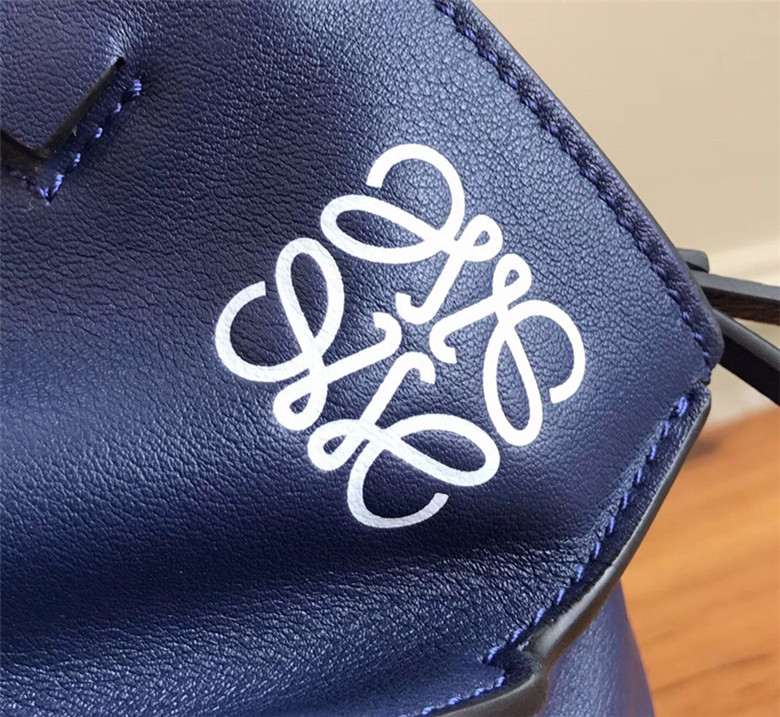 로에베 crossboby 지드래곤 백팩 L10801