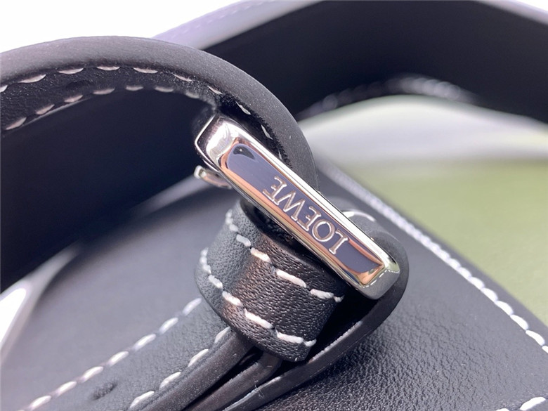 로에베 고야 백팩 라지 신상 L99889