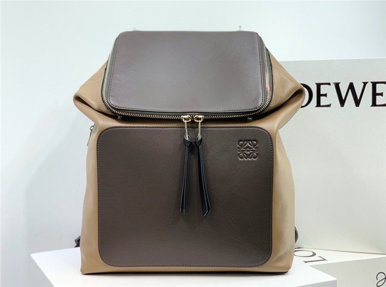 로에베 고야 백팩 라지 신상 L99889