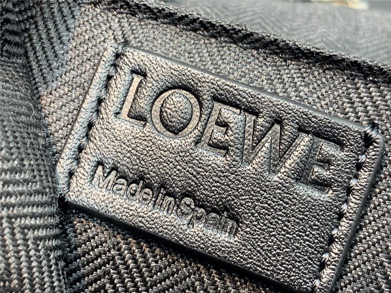 로에베 고야 백팩 라지 신상 L99889