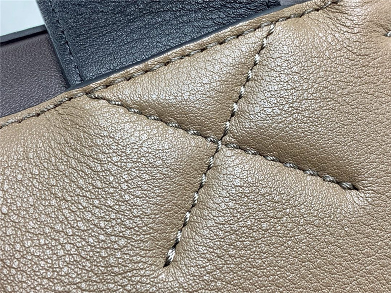 로에베 고야 백팩 라지 신상 L99889