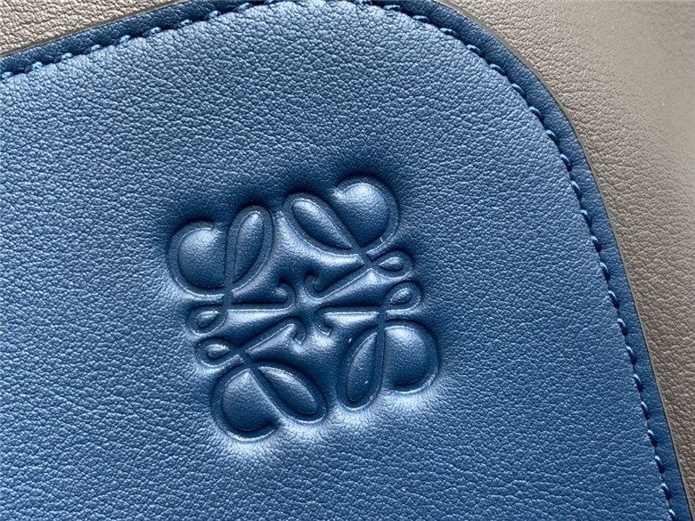 로에베 고야 백팩 라지 신상 L99889