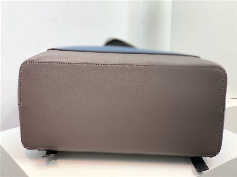 로에베 고야 백팩 라지 신상 L99889