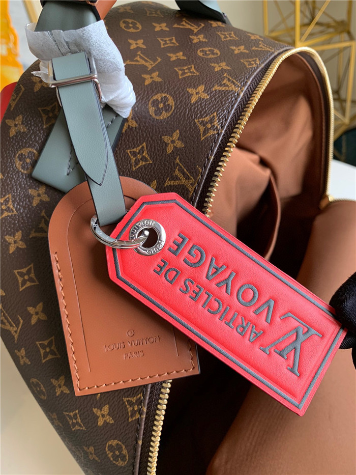 Louis Vuitton 루이비통 보야주 백팩 M56851 2020/신상