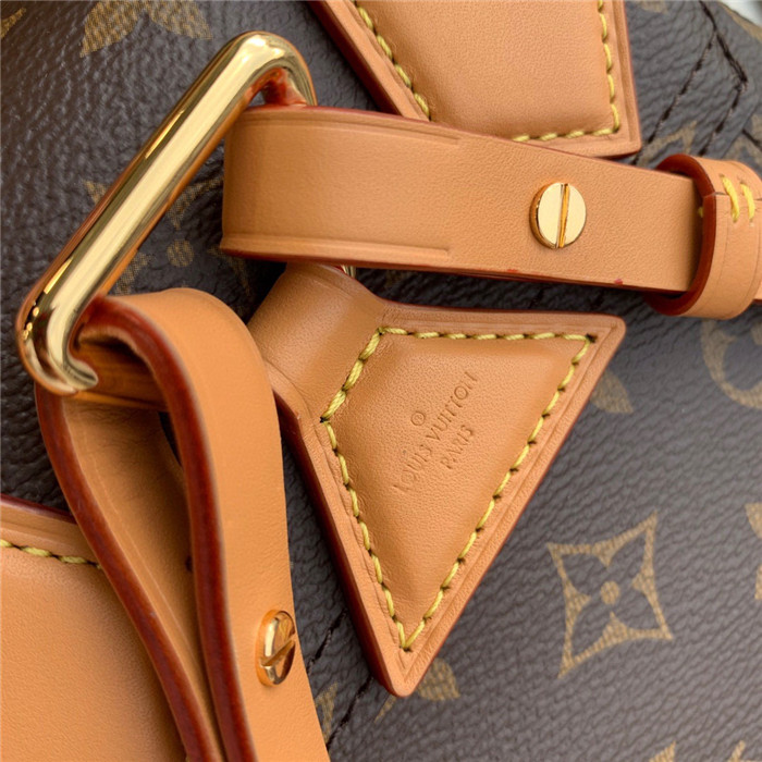 루이비통 크루즈 백팩 PM M45639 2020/신상