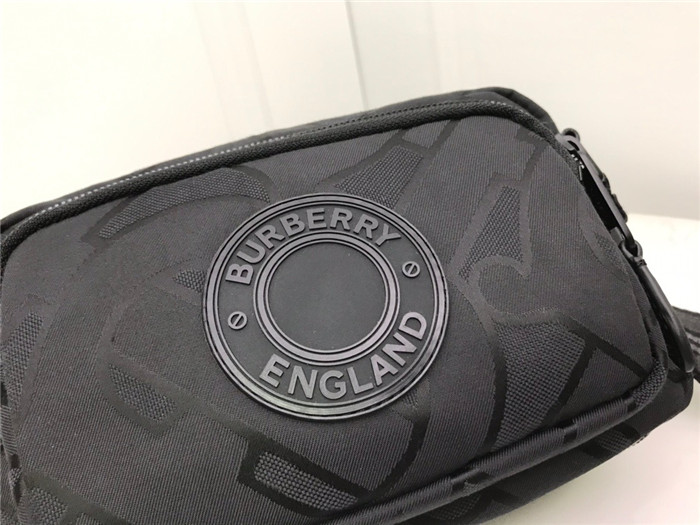 Burberry 버버리 카메라백 B50509 2020/신상