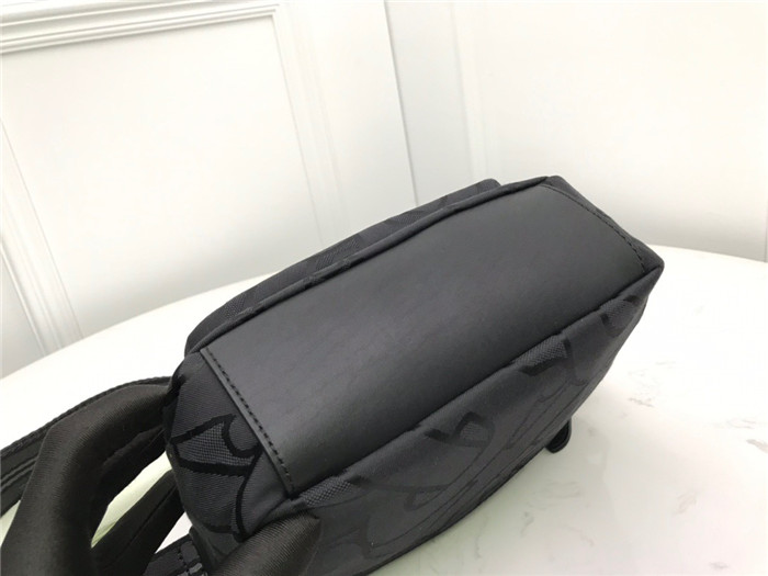 Burberry 버버리 카메라백 B50509 2020/신상