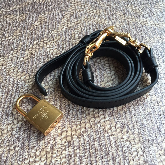 Prada 프라다 에스플러네이드 숄더백 1BA047