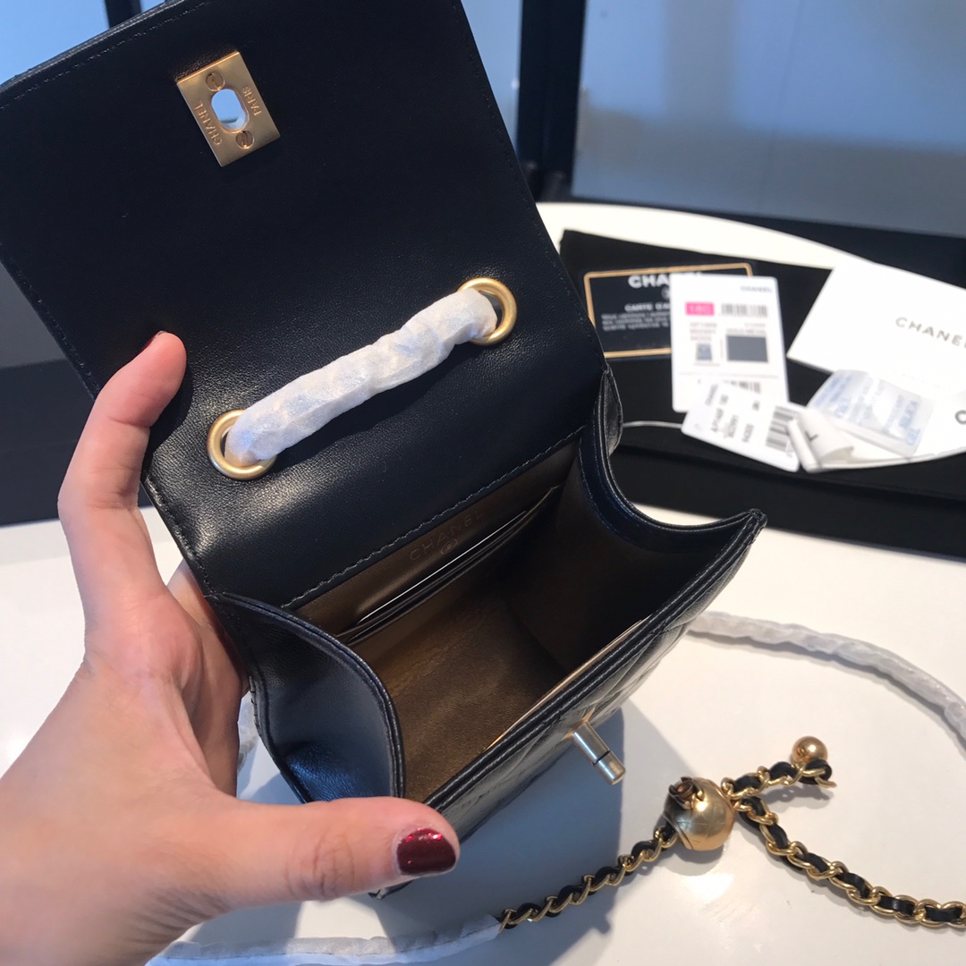 Chanel 샤넬 핸드폰백 CA5090 신상