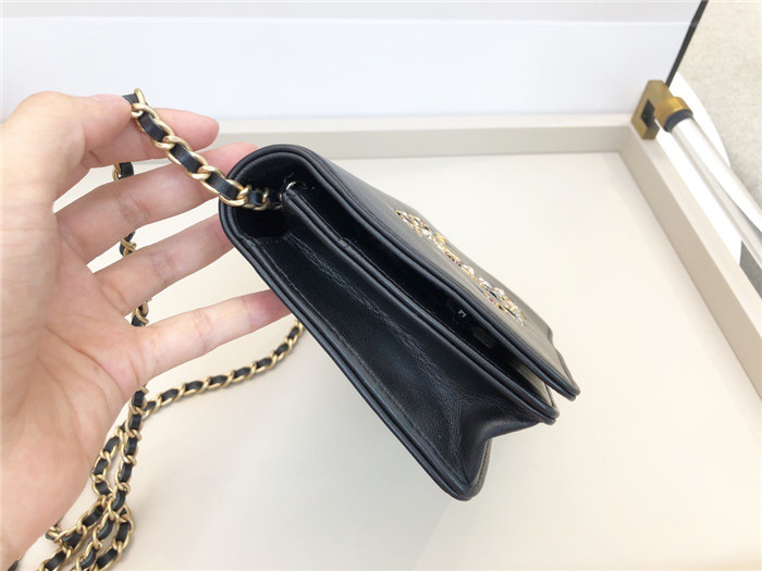 Chanel 샤넬 WOC 19CM AS35822 2020/신상