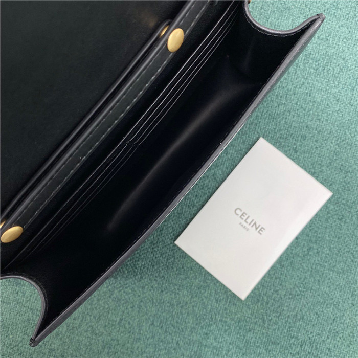 Celine 셀린느 마일론백 C100823-3 2020/신상