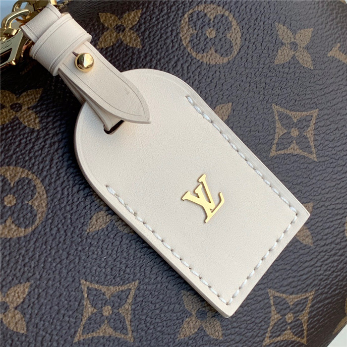 Louis Vuitton 루이비통 쁘띠뜨 말 수플 M45571 2020/신상
