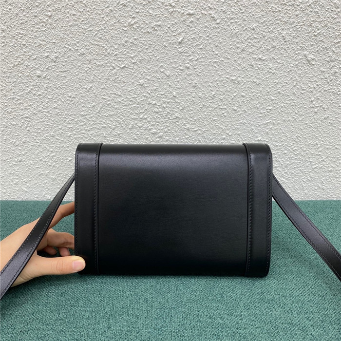 Celine 셀린느 트리옴페 WOC C195263 2020/신상