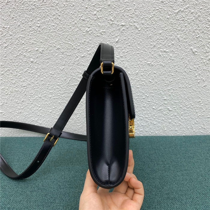 Celine 셀린느 트리옴페 WOC C195263 2020/신상