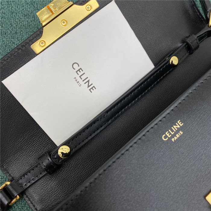Celine 셀린느 트리옴페 WOC C195263 2020/신상