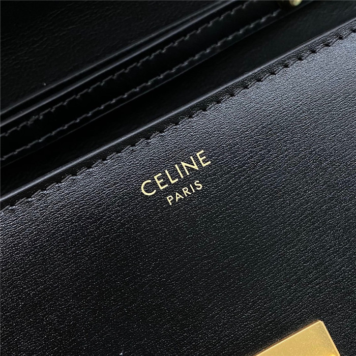 Celine 셀린느 트리옴페 WOC C195263 2020/신상