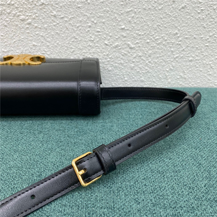 Celine 셀린느 트리옴페 WOC C195263 2020/신상