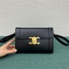 Celine 셀린느 트리옴페 WOC C195263 2020/신상