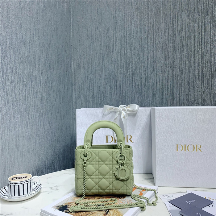 Dior  디올 레이디 17CM D0560
