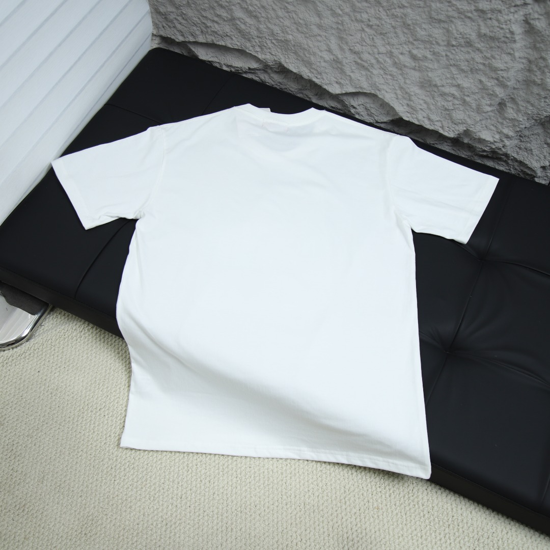 2025ss 봄 신상품 더노스페이스 더노스페이스 백 라운드넥 반팔 티셔츠 곰 가슴 프린트 모델 번호: BM0027