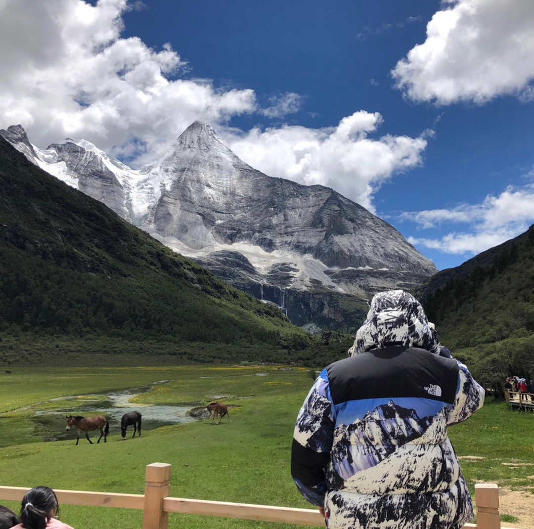 더노스페이스 / 더노스페이스 TNFF x 슈프림 17FW 마운틴발토로자켓 스노우 마운틴 페더