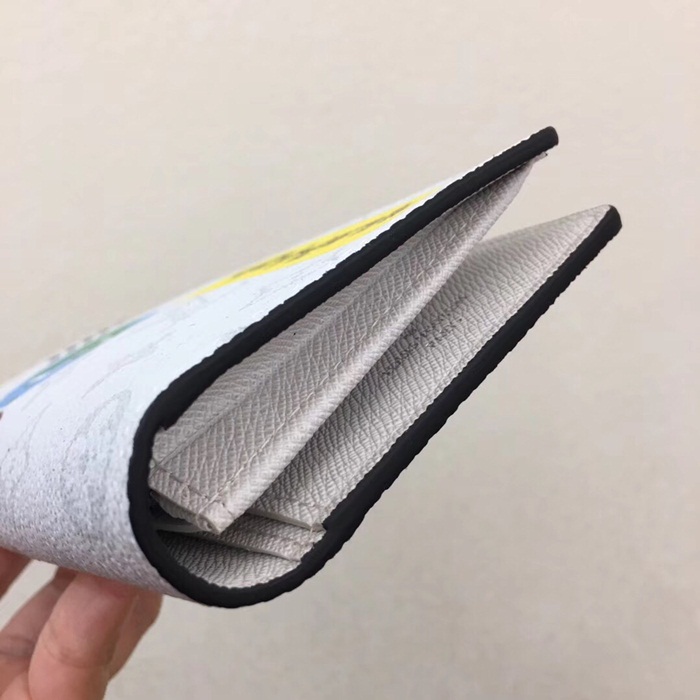  Louis Vuitton 루이비통 브라짜 월릿 M67823