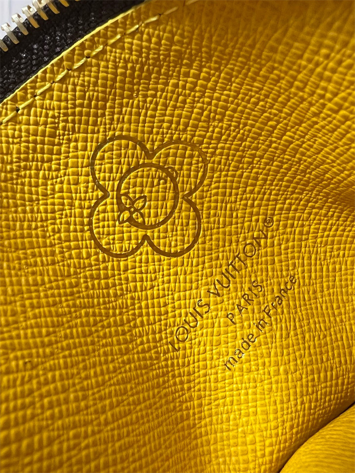 LOUIS VUITTON 루이비통 로미 카드/명함지갑 M12998 2024/신상